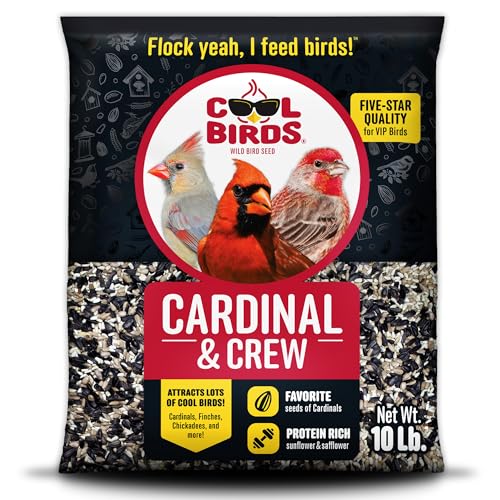 Cool Birds Cardinal & Crew Wild Bird Seed, 10 lb | Black Oil Sunflower, Sunflower Hearts & Safflower Blend for Cardinals, Grosbeaks & Chickadees – Bird Food for Outside Feeders