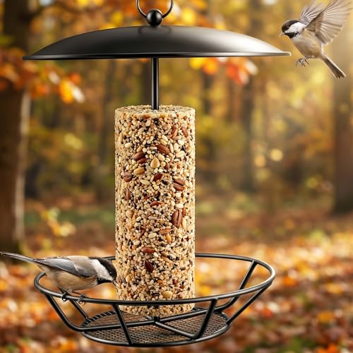 1 Pack Cylinder Bird Feeder, S-6-2 Seed Cake Bird Feeder Holder, Metal Suet Cake Holder, Backyard Wild Birdfeeding Birds Feeders for Outdoors Garden