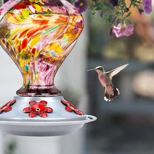 Glass Hummingbird Feeders for Outdoors Hanging with ant Moat, Purple | Hand Blown, 24oz, 5 Bee-Proof Ports, 360° Perch, Leak-Proof, Easy Refill & Clean, Garden Decor, Gifts for Mom Dad Women Men - color: Purple Raspberry