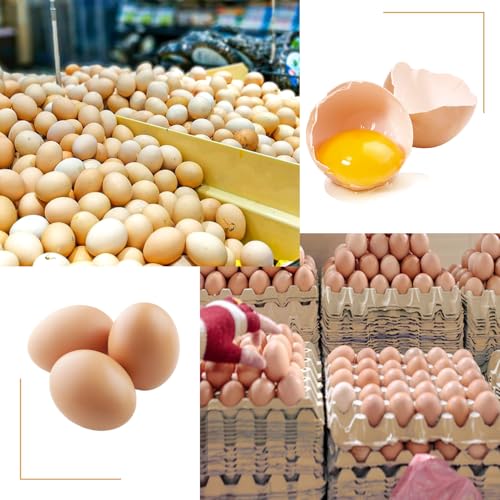18 Flats 30-Cell Egg Crate, Holds 30 Eggs | Cardboard Egg Cartons, Sturdy and Stackable Egg Flats, Perfect Egg Crates for Fresh Eggs, Chicken Farm - size: 18 Pack grey
