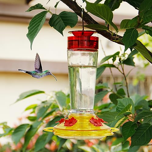 Shrdaepe Hummingbird Feeder, Glass Bottle Bird Feeders, 5 Feeding Ports (Red & Yellow) - color: Red & Yellow