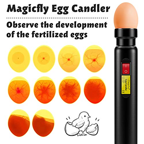 Magicfly Rechargeable Egg Candler Tester for Monitoring Eggs Development, Bright Cool LED Light Candling Lamp