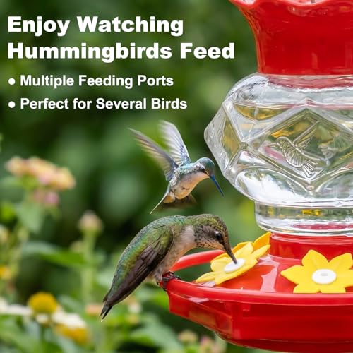 Fchstaer Plastic Hummingbird Feeders for Outdoors Hanging,1 Pack 18OZ Diamond Humming Bird Feeders with 6 Feeding Ports & Perch, Built-in Ant Moat, Gifts for Women, Durable Outside Garden Decor - color: Transparent-1PC