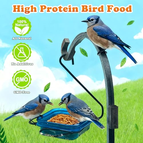 Amzey Dried Mealworms 5 LB, 100% Natural Meal Worms for Chicken & Birds, Organic Chicken Feed for Laying Hens, High Protein and Nutrition, Zipped Bag - size: 5 Pound (Pack of 1)