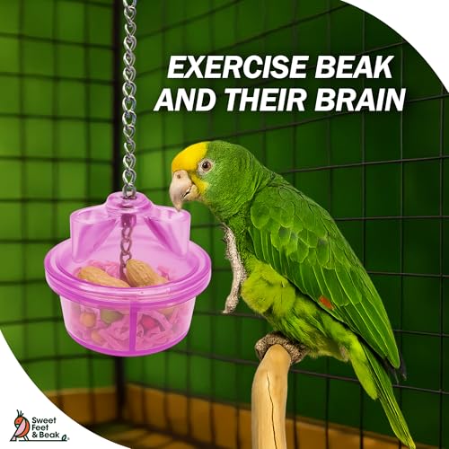 Sweet Feet and Beak Foraging Feeder™ Bird Cage Toy Box | For Large Birds, Safe & Non-Toxic, Tough Construction, Easy to Install, Foraging Treasures & Treats