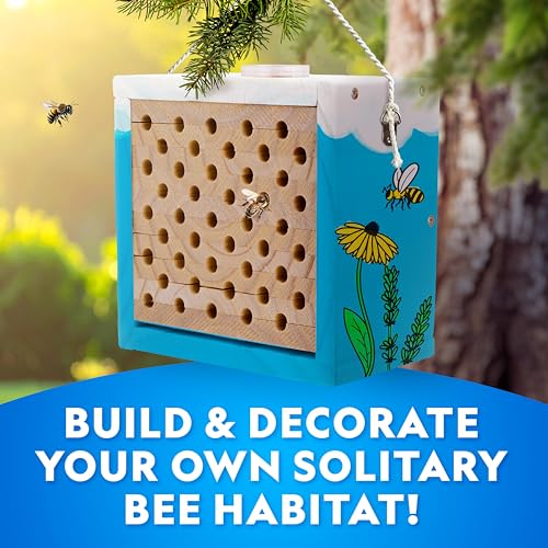 National Geographic Build a Bee Habitat Nature Craft Kit for Kids | Build and Paint a Mason Bee House, Outdoor Nature Craft, Pollinator Learning, Solitary Bee Hotel, Birthday Gift - style: DIY Bee Habitat