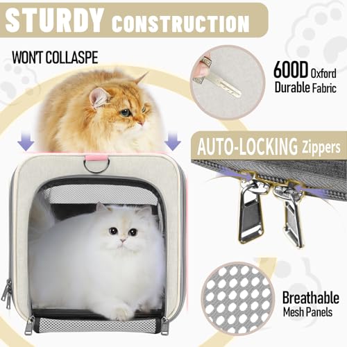 GAPZER Large Cat Carrier Soft, Collapsible Travel Pet Carry Bag, Small Dogs | Big Kitten Cat 20lbs Mainecoon, Top Open Travel Shih-Tzu Pet Kennel, Yorkie Small Dog 10 Pound, 18x12x12, Durable Cloth Beige - color: Beige