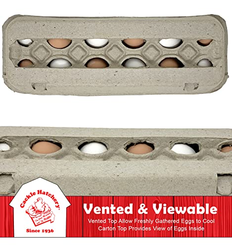 Vented Paper Pulp Egg Cartons Holds 1 Dozen Chicken Eggs (24 Pack)
