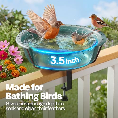 VIVOHOME Deck-Mounted Bird Bath with Adjustable Metal Clamp, Green | Weather-Resistant ABS, 1.45-Gallon Capacity, for Railing/Fence/Balcony, Bird-Friendly, Easy to Clean - color: Green, size: Birdbath Only