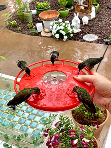Hummingbird Feeder Fence/Rail Mount or Hanging for Deck/Porch/Balcony 14oz Nectar Feeding Bowl with 5 Ports & 3" Railing Clamp and Metal Hook