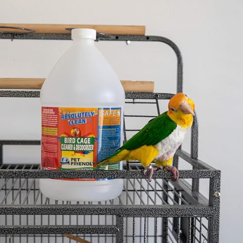 Absolutely Clean Amazing Bird Cage Cleaner and Deodorizer - Just Spray/Wipe - Safely & Easily Removes Bird Messes Quickly and Easily - Made in The US - Fragrance Free - (128oz Pack of 4) - style: 128 Fl Oz (Pack of 4)
