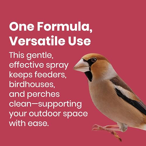 Bird Feeder & Bird House Spray to Reduce Buildup Between Cleanings, 2-Pack | Protectant, Extend Time Between Cleanings, Long Lasting Protection, Safe for All Birds, For Use After Cleaning, Non-Toxic - size: 32 Fl Oz (Pack of 2)