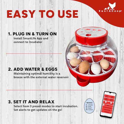 RENTACOOP Egg Incubator for 16 Eggs