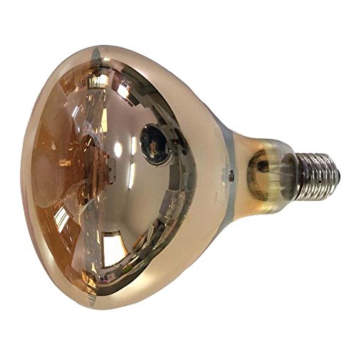 Heat Lamp Bulb 250 Watt Hard Glass Infrared Lamp Bulb for Brooder Bulb, Food Service, Bathroom, Pet, Farm Chicks Pig 120V