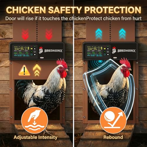 Solar Automatic Chicken Coop Door, 6-Mode Programmable Remote, HD Screen | Auto Chicken Door with aluminum alloy, timer, light sensor, anti-pinch protection, 70M remote range
