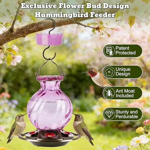 Auslar Glass Hummingbird Feeders for Outdoors Hanging, Purple, 26 Oz | Hummingbird Feeder with Ant Proof Moat, 5 Bee Proof Feeding Ports, 360°Perch, Leak-proof, Outside Garden Backyard Decor - color: Purple