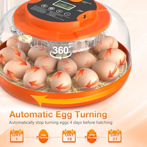 Egg Incubators for Hatching Eggs, 18 Egg Incubator with Automatic Egg Turning and Humidity Control Incubator for Chicken Duck Quail Home Lab - size: O-18H