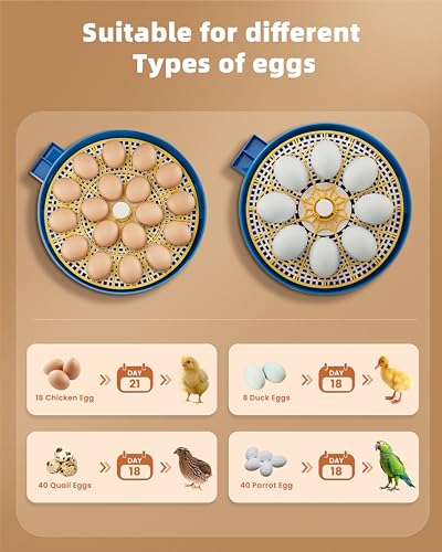 18 Egg Incubator with Automatic Egg Turning - Hatching Unit with Digital Control & Built-in Candler - Incubation System with 2 Hatcher Trays for Chicken, Duck, Goose, Quail, Parrot Eggs - Cyan