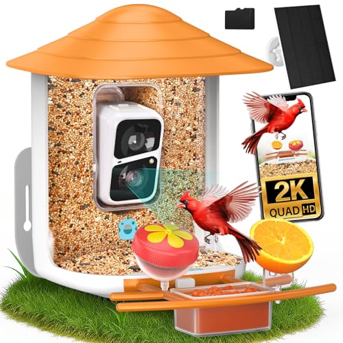 birdsnap® TUC Bird Feeder with Camera Solar Powered 2K Video with 32GB Card | AI Bird Species Identification, Squirrel-Proof, IP65 Waterproof, Outdoor Wireless, 2.4G WiFi, Gift for Mom Dad Bird Lovers - color: Orange