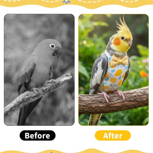 4 Pcs Bird Diapers, Parrot Diaper Reusable | Waterproof Lining, Washable for Cockatiel Budgie Lovebird Parakeet Canary, 4.72x2.64 Inches (Colorful)