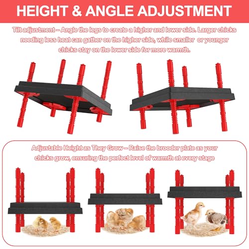Chick Brooder Heating Plate with Anti Stand Cone, 10"x10" Temp Adjust Black | Adjustable Height Brooder Heater for Chicks, Downward Heat Distribution for Outdoor Barns & Coops - size: 10" x 10" with Temp. Adjustments