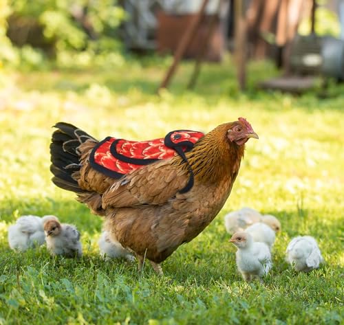 On-Airstore 3Pcs Chicken Saddle for Hens Chicken Aprons Clothes with Adjustable Strap Outdoor Printed Birds Hen Saddle for Poultry Back Feather Protector Suitable for Small Medium Large Hens