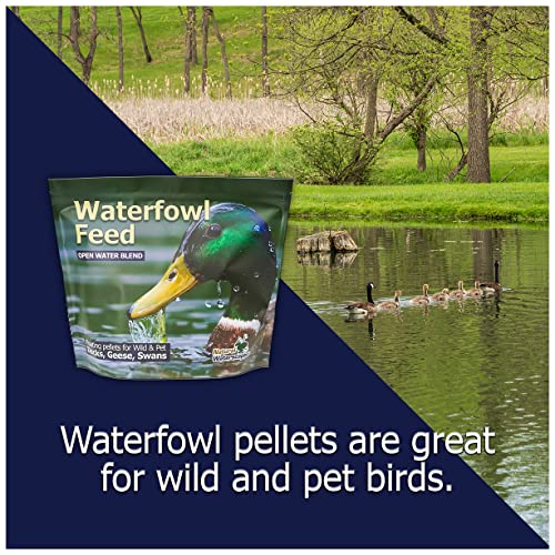 Natural Waterscapes Waterfowl Feed Open Water Diet 40 lb | for Feeding Ducks Geese Swans | Floating Pellets with Niacin for Ducks