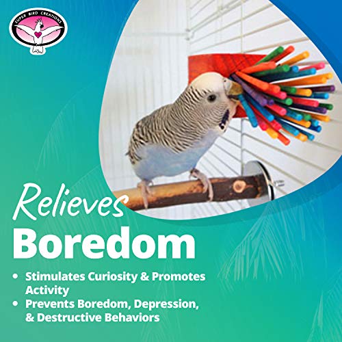 Super Bird Creations - SB301 Chewable Paper Party Bird Toy with Colorful Lollipop Sticks - Ringnecks Medium Conures Parrot - Chew Enthusiasts - Enriching Bird Toys for Medium to Large Birds - 1-Pack - size: Large
