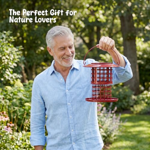 KOL Metal Suet Ball Feeder for Birds – Single-Layer Expandable Design Suet Bird Feeder, Heavy-Duty Wild Bird Feeder with Secure Lid, Large Capacity for Backyard (Red) - color: Red