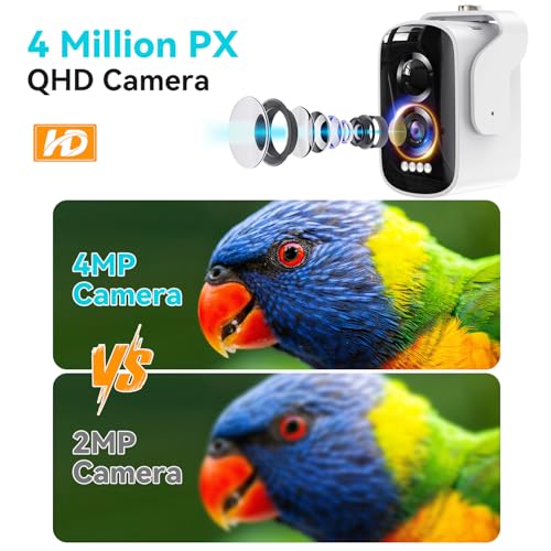 Solar Powered Bird Feeder with Camera, Hummingbird Feeders for Outdoors | 4K QHD Live Video Hummingbird feeder AI Bird Recognition, Auto Recording Squirrel Proof Bird Feeders for Bird Lovers Gift