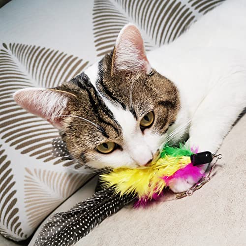 Cat Feather Toys Refills, 8 Pieces Natural Da Bird Feathers Refill, Cat Wand Replacement Feather for Indoor Cats (D) - color: D-8 PCS Feather Refills