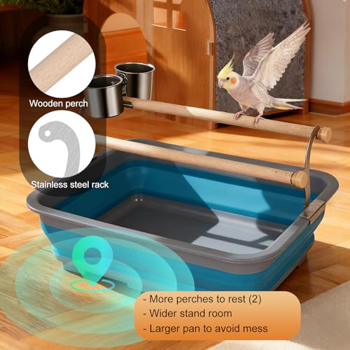 Bird Desktop Training Perch Stand with Washable Plastic Tray, Large Size for Parakeet, Budgie, Cockatiel, Conure, Long Tail Parrot, Collapsible Design (Blue, Large)