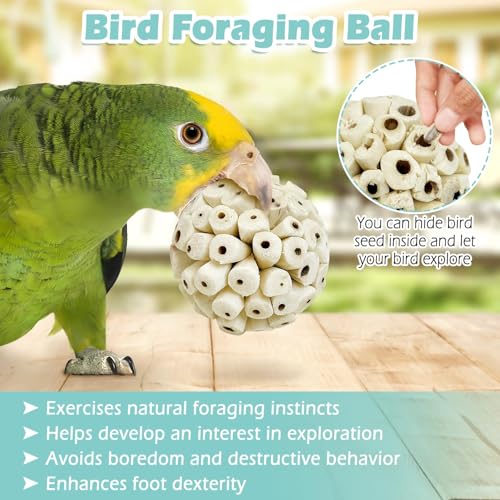 PINVNBY 6 Pack Small Sola Balls Bird Toys 2.36" Soft & Chewable Bird Chew Ball Natural Sola Plant Lightweight Shred Toy for Parakeet Cockatiel Lovebird Budgie and Similar Sizes Pets