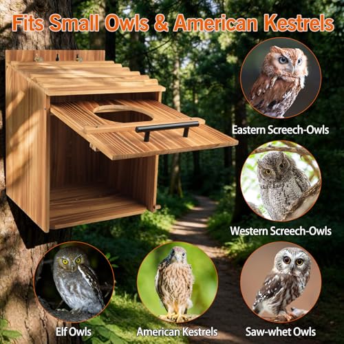 Large Owl Houses for Outdoors, 17" x 12.5" x 12.5" Barn Owl Box | Extra Wide Wooden Bird Nesting Box with Removable Entrance Plate - Habitat for Barn, Screech, Boreal, Saw-Whet & Elf Owls