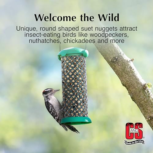 C&S Woodpecker Suet Nuggets, Outdoor Wild Bird Food for Woodpeckers, Flickers and More, 27 Ounces - size: 1.69 Pound (Pack of 1)