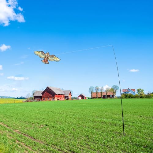 Bird Scare Flying Kite with 4m Pole Has The Effect of Scaring Birds-Owl | deal for gardens farms and docks|Keeps birds geese and seagulls away |Owl-shaped bird repelling device - color: yellow
