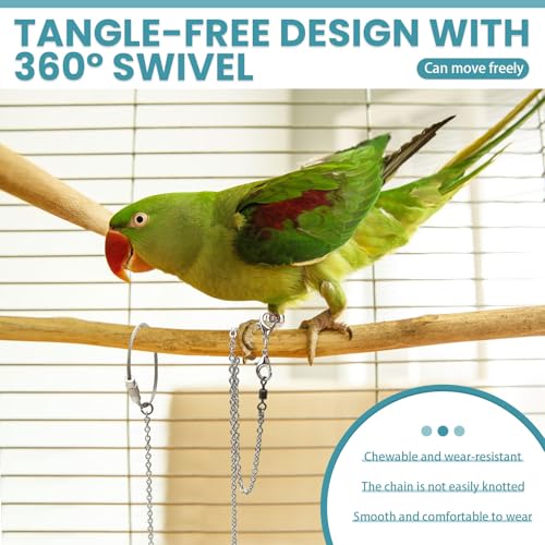 LELE LIFE 2 Pack 39in Bird Leash with 5 Sizes Ankle Rings, Stainless Steel Anti-Bite Parrot Bird Harness Flying Toy Training Chain Leg Rope Outdoor Parrot Alloy Foot Ring