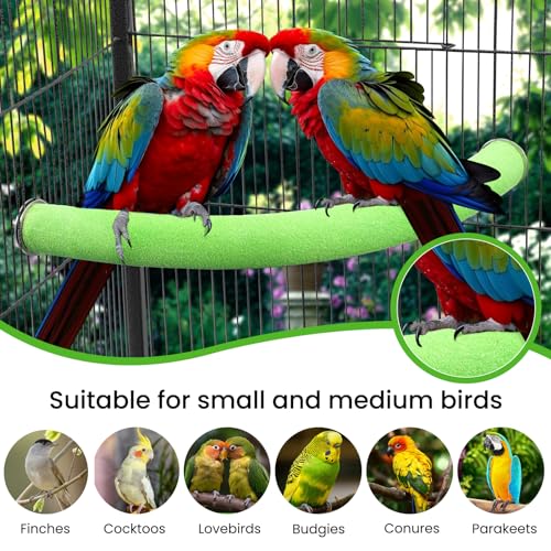 FrgKbTm U Shape Parrot Perch Stand Toy Bird Platform Sand Paw Grinding Clean Stick Exercise Conure Budgie Cockatiel Cage Accessories (Green Corner Medium)