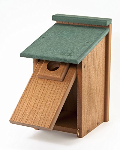 Going Green Bluebird House