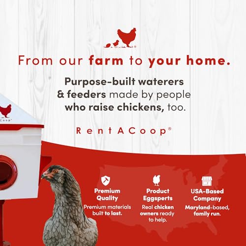 RentACoop Chick2Chicken 10lb BPA-Free 4-Medium Port Feeder