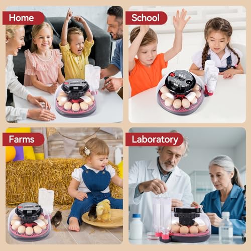 12 Egg Incubators for Hatching Eggs, Chicken Egg Incubator with Automatic Egg Turning and Temperature Humidity Control, 360° Clear View Lid or Home, Farm, Classroom, Hatching Chicken, Duck,Quail,Goose - size: 12 Egg Incubators