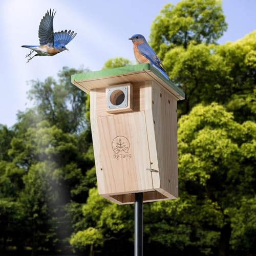 Cedar Bird House with Metal Predator Guard, Wild Bird Nesting Box | Clear viewing window, easy-clean side door, 3/4" cedar, and interior grip for wild wrens, swallows, and chickadees - style: Classic