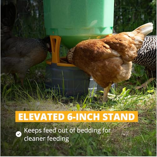 Stromberg's High Capacity Silo Poultry Feeder, 65 lb, Translucent Body, Easy to Clean, Feed Saver Grill, Elevated 6" Stand, Large Lid for Easy Filling, Durable & Efficient Design for Backyard & Farm