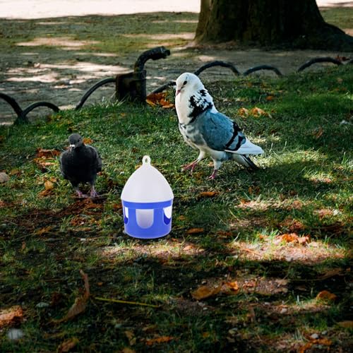 Angoily Pigeon Water Feeder 6.3 Inch Detachable Bird Water Dispenser for Pigeons Quail and Small Birds Easy Clean Outdoor Bird Feeder Accessories