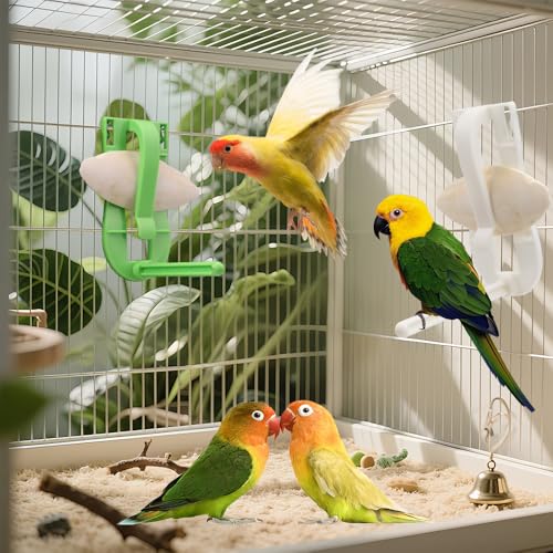2 Pcs Bird Cage Cuttlebone Holder Fruit Vegitable Bracket with Perches Stand with 4 Pcs Cuttlebone for Parrot Budgie Conure