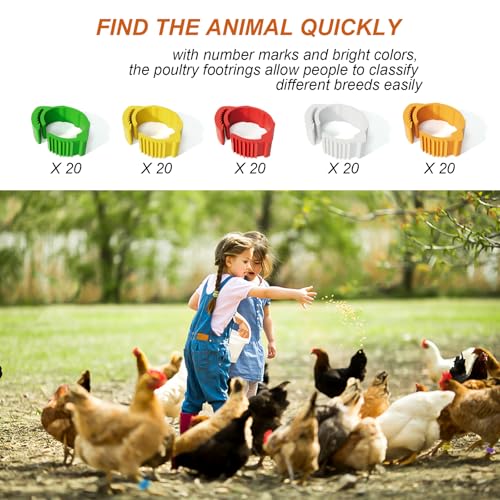 16mm 100 Pcs Adjustable Poultry Leg Bands,Chicken Leg Rings,Duck Leg Bands,5 Colors Laser Engraved Clip Rings for Large Poultry Chicken,Duck,Turkey,Goose Gamefowl Turkey