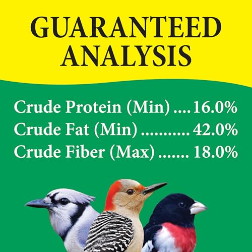 Wild Delight 366050 Nut N' Berry Bird Food, 5 lb, Multi - size: 5 Pound (Pack of 1), style: Nut N'Berry 5lb