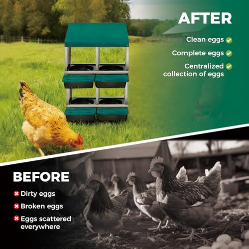 Chicken Nesting Boxes with Cleanable Pull-Out Trays, 4-Hole Wall Mount Roll Away Nest for Easy Cleaning & Egg Collection - size: 4 holes 2 layers