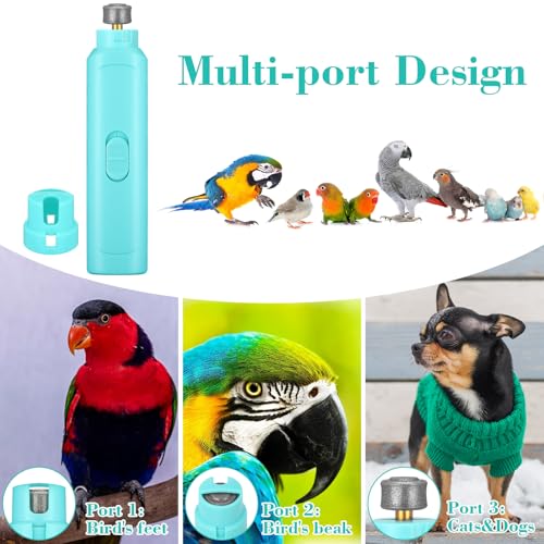 Lasnten 2 Pcs Bird Nail Grinder with Clipper Bird Nail Trimmer File Pet Grooming Tool for Parrot Budgerigars Parakeets Myna Conure Finches Lovebirds (Cyan Blue) - color: Cyan Blue