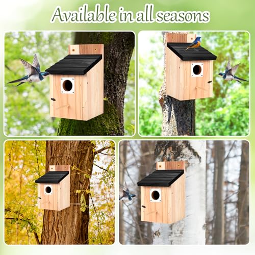 4-Pack Black Wooden Bird Houses for Outdoors with Predator Guard, Bluebird Houses for Outside – Ideal for Bluebirds & Other Backyard Birds, Black